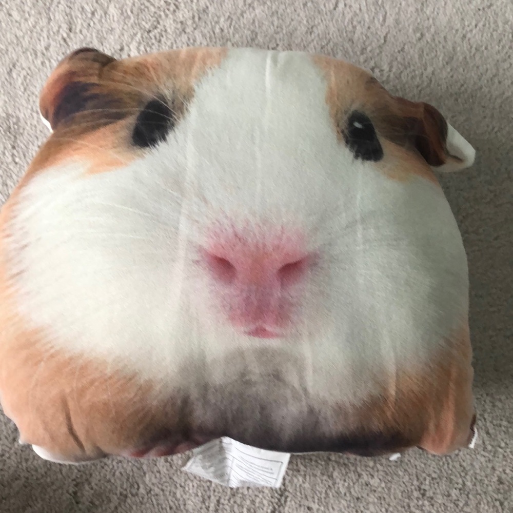 Hamster pillow